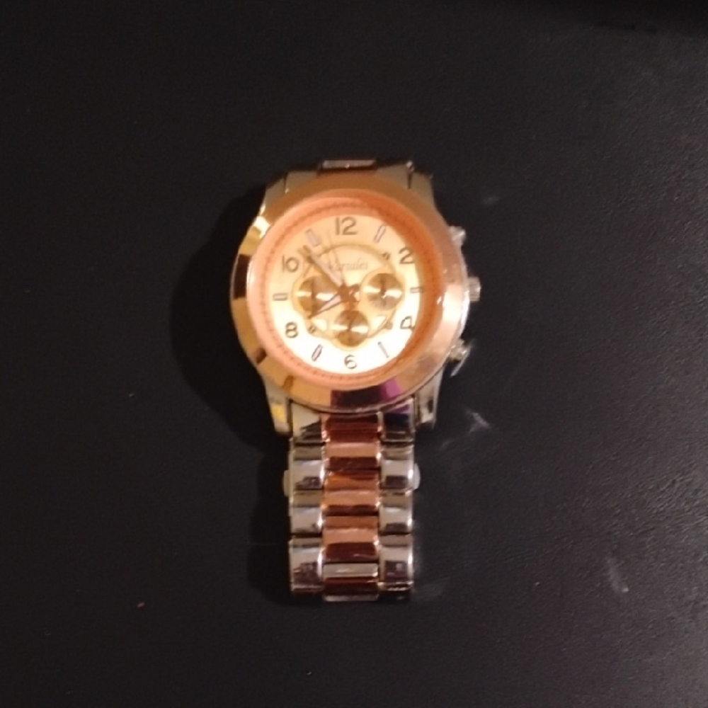 Gold and Silver Watch
